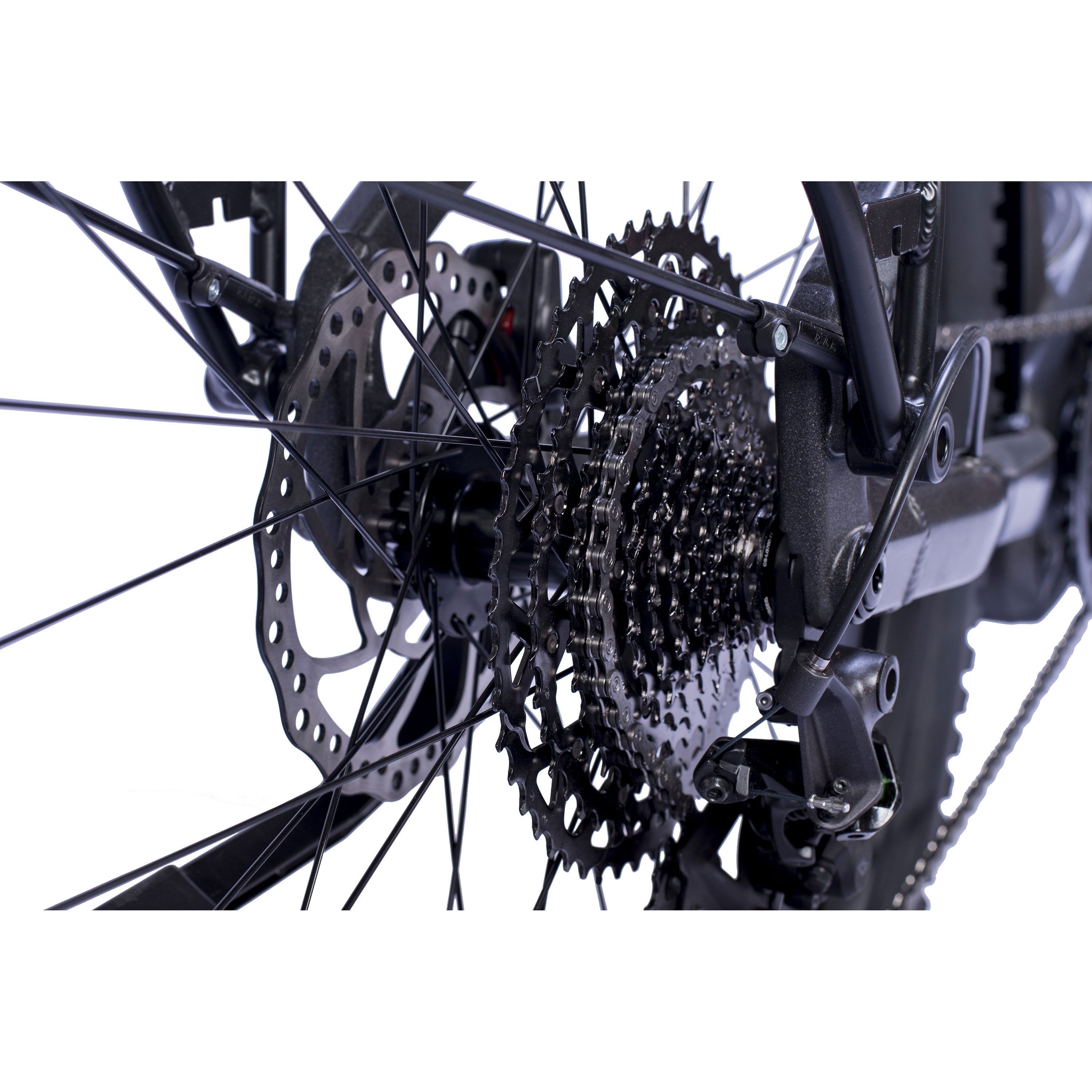 29" MTB E-SUV da uomo STREAMER CX11 BOSCH Performance Line CX (Gen 5) Smart System POWERTUBE 600 Wh 11 velocità SHIMANO XT RD-M8130 SGS