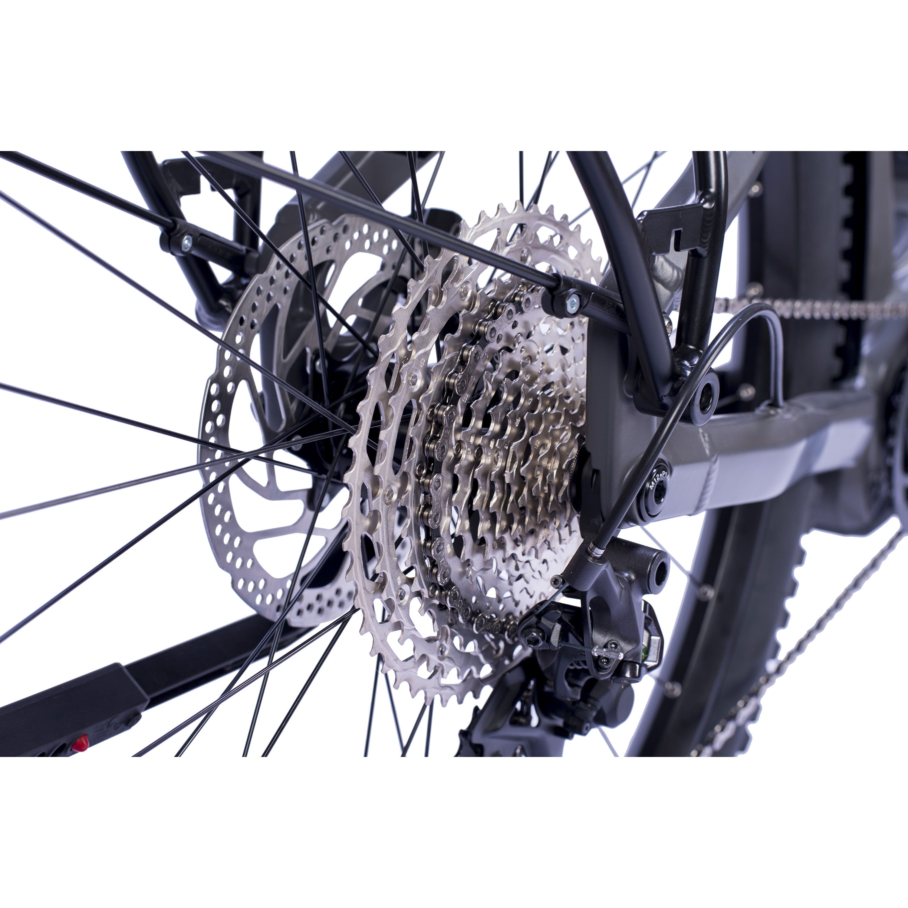 29" MTB E-SUV uomo STREAMER CX12 BOSCH Performance Line CX (Gen 5) Smart System Powertube 800 Wh 12 velocità Shimano XT RD-M8100 SGS.