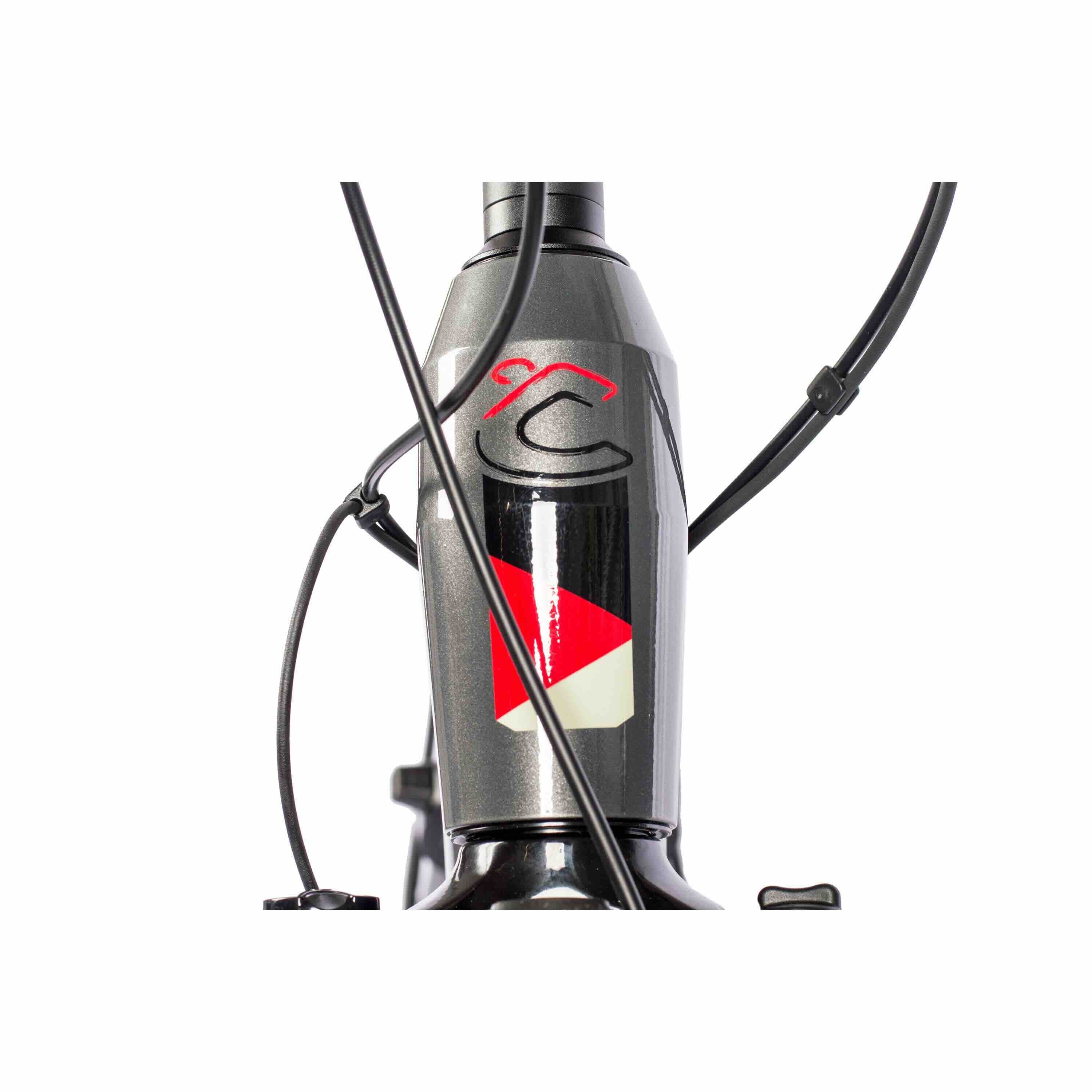 Bicycle de randonnée pour le vélo électrique de 28 pouces V-Tron Bosch Active plus ligne Gen3 500Wh 10S Shimano Deore