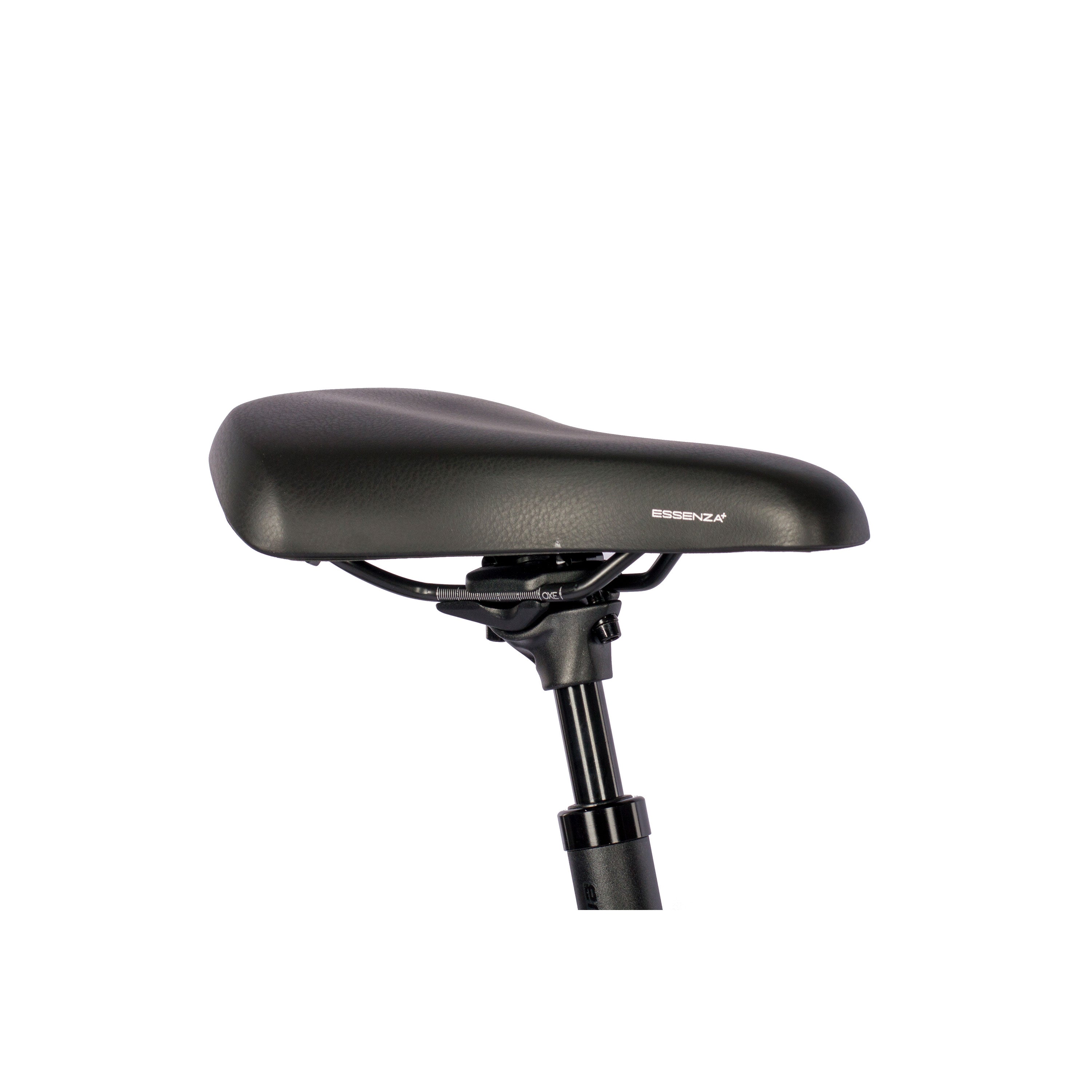 VTronBoschRDLady2024_3000_20br5zCN1KQXaSA