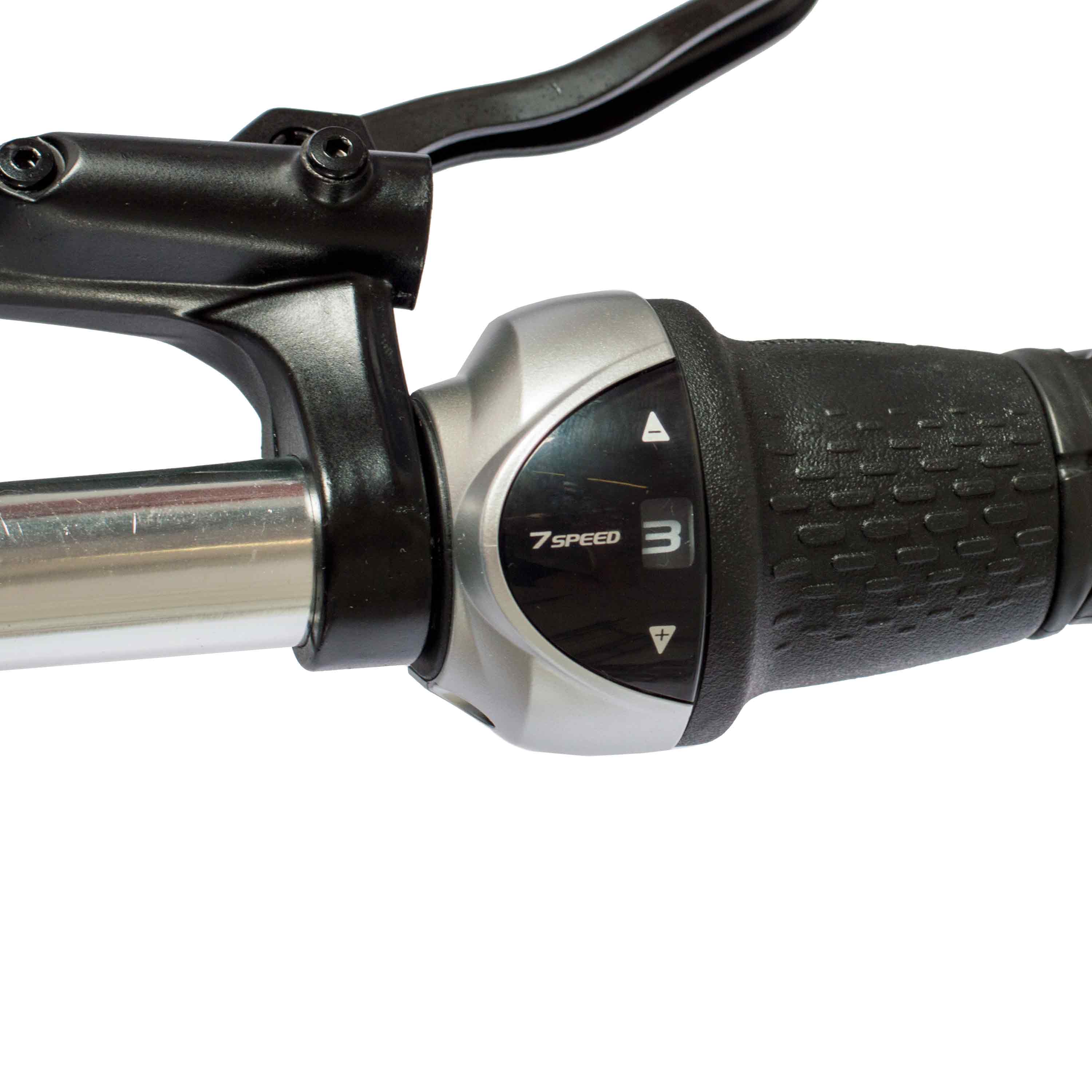 28" Women’s Urban Bike STREET CrMo GATES Carbon Belt Shimano Nexus 7-speed 