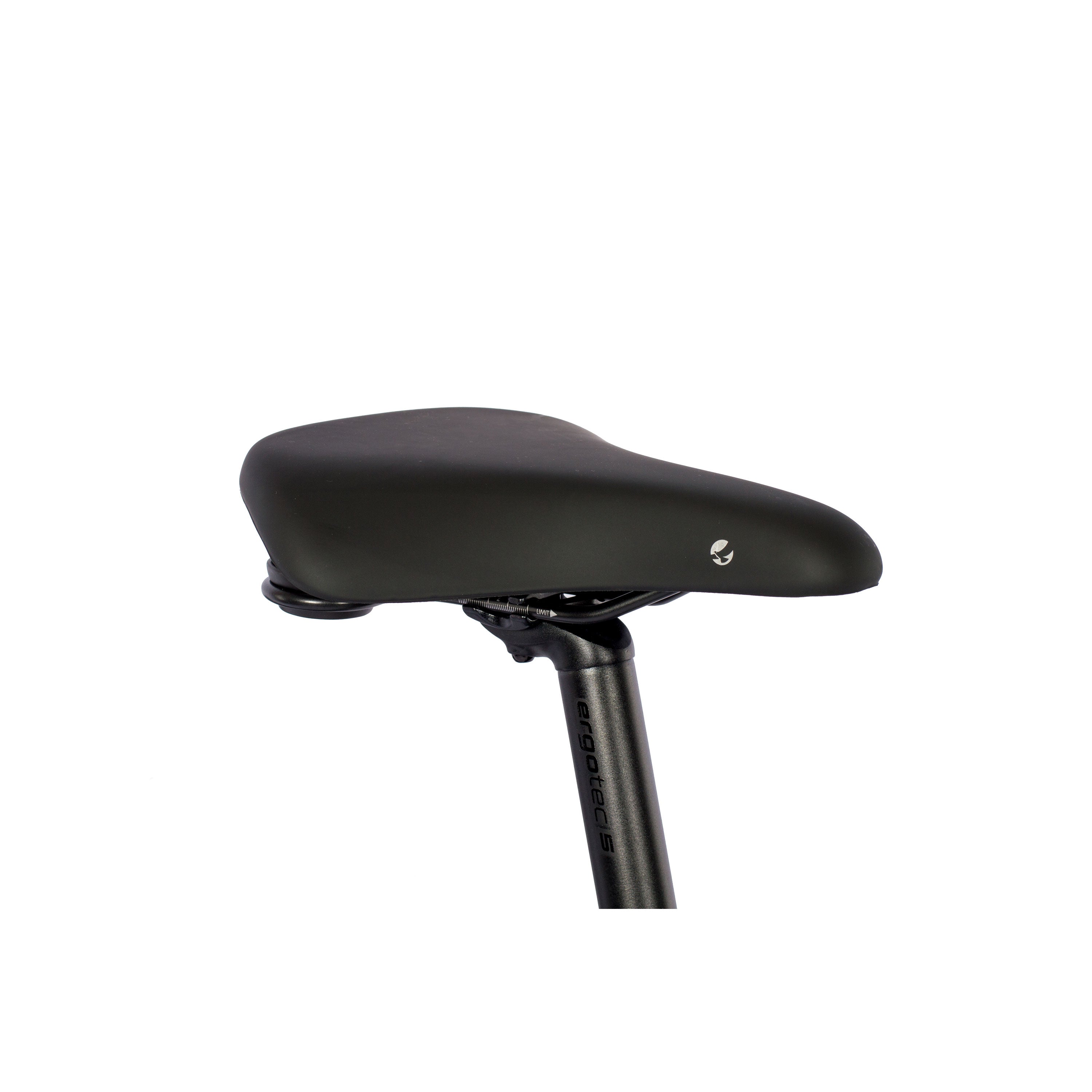 28" BICI ELETTRICA DA DONNA TREKKING LUMINA GX3 LS BOSCH ACTIVE PLUS LINE 500 WH 9 VELOCITÀ SHIMANO ALIVIO RD-M3100